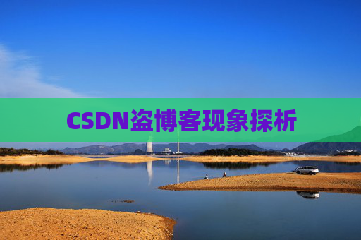 CSDN盗博客现象探析